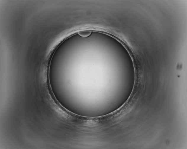 X0000100351504200806130940