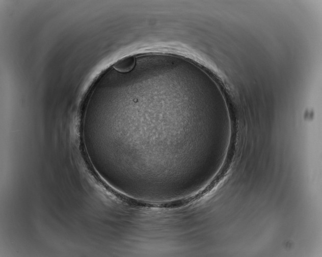 X0000100351506200806130940