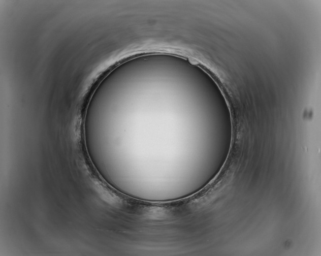 X0000100351507200806130940