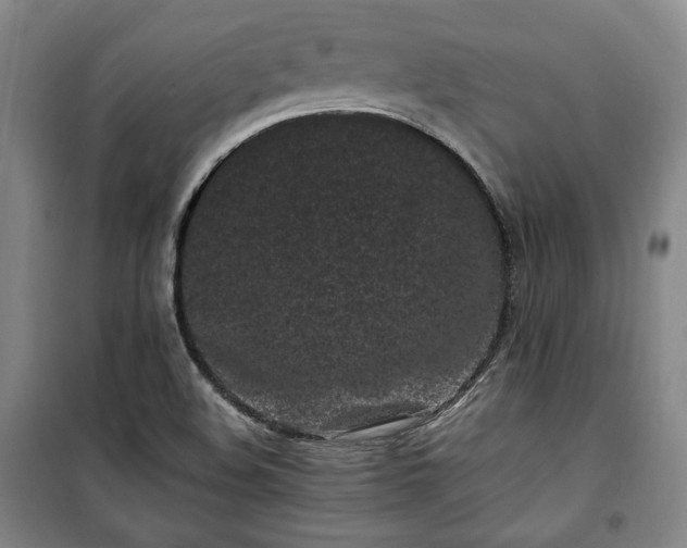 X0000100351508200806130940