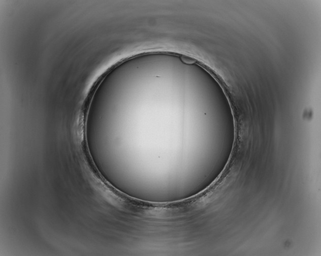 X0000100351510200806130940