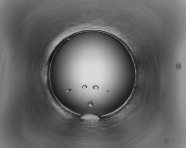X0000100351511200806130941