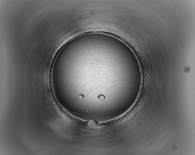 X0000100351513200806130941