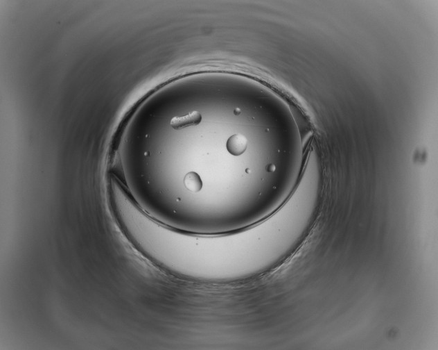 X0000100351514200806130941