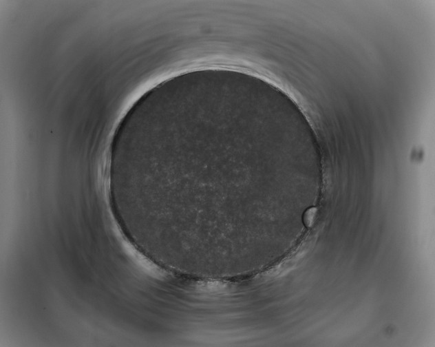 X0000100351515200806130941