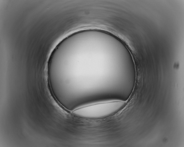 X0000100351516200806130941