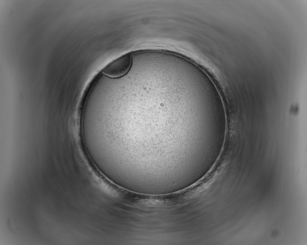 X0000100351517200806130941