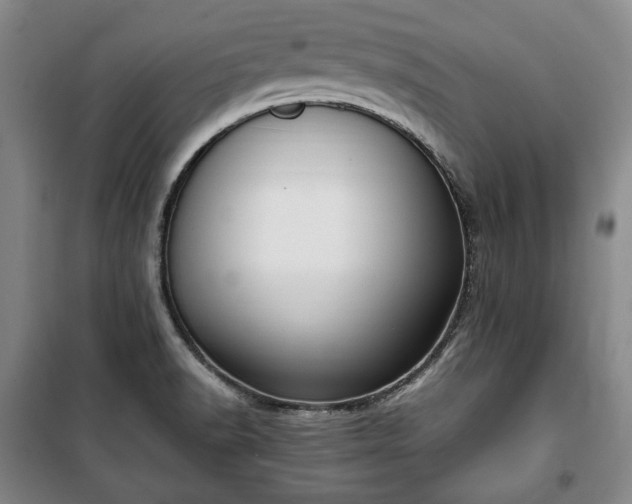 X0000100351518200806130941