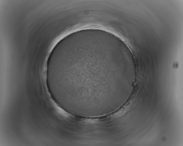 X0000100351519200806130941