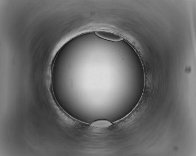 X0000100351520200806130941