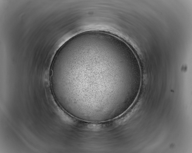 X0000100351521200806130941