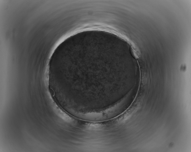 X0000100351522200806130941