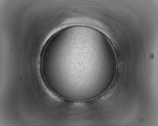 X0000100351523200806130941
