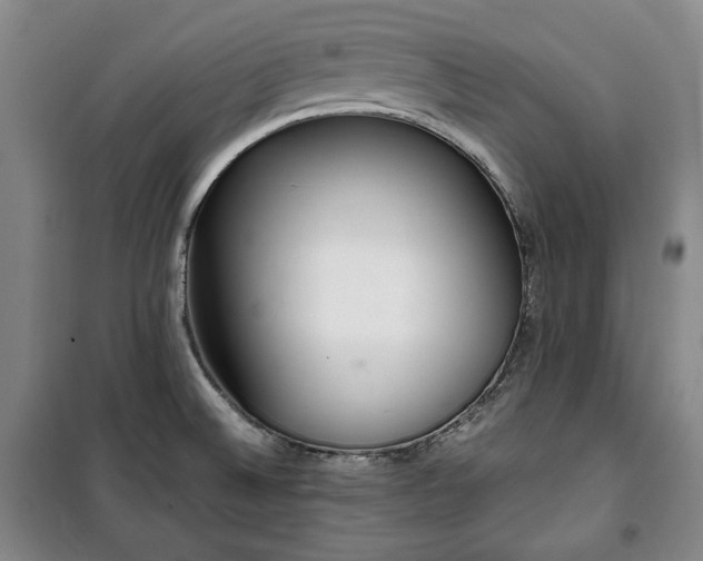 X0000100351524200806130941