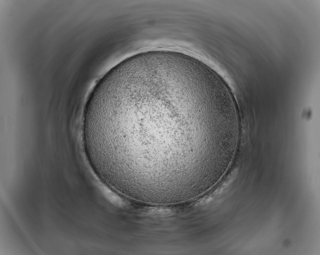 X0000100351525200806130941