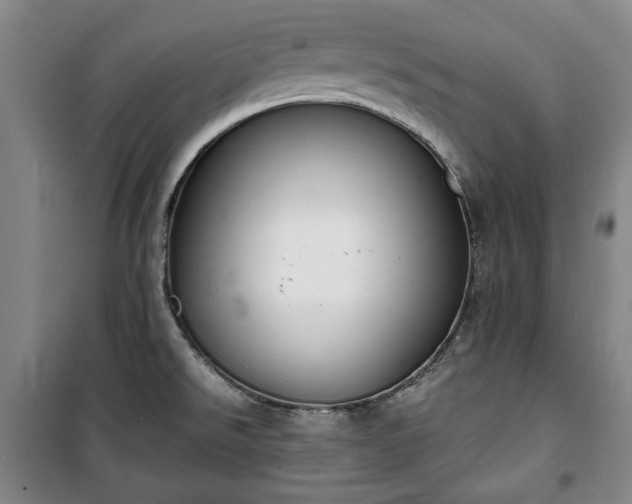 X0000100351526200806130941