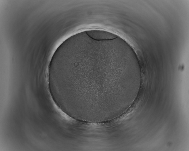 X0000100351527200806130941