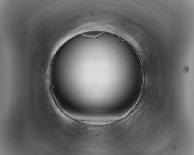 X0000100351528200806130941