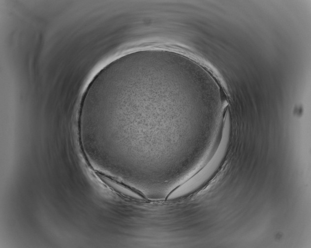 X0000100351530200806130941