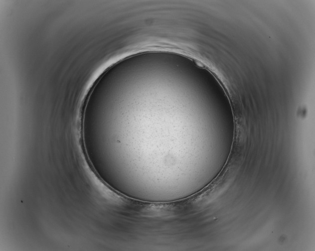 X0000100351531200806130941