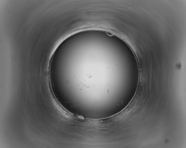 X0000100351532200806130941