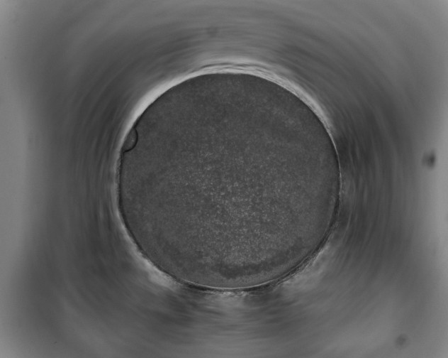 X0000100351533200806130941