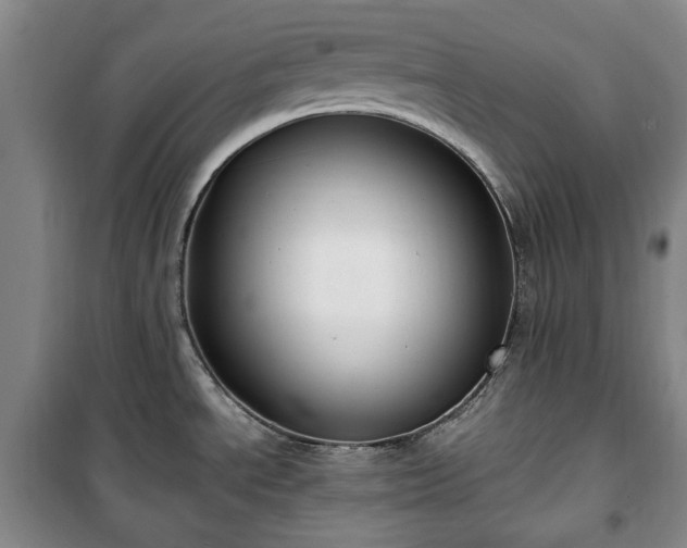 X0000100351534200806130941