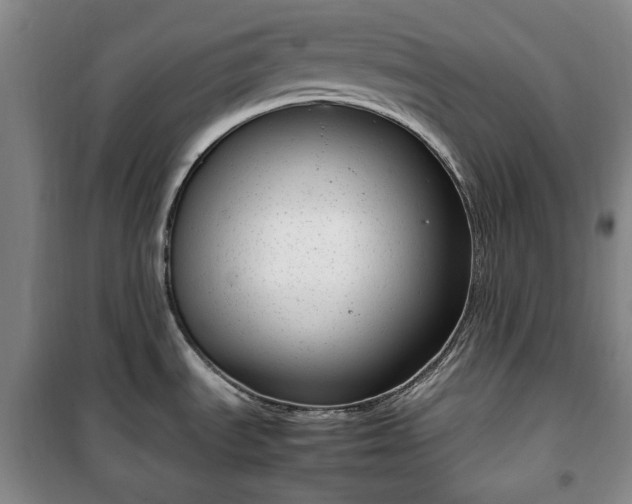 X0000100351535200806130941