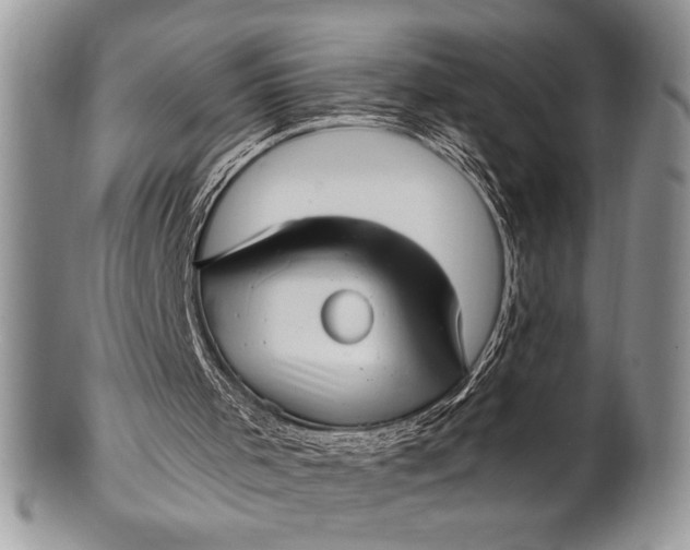 X0000100350001200806201552