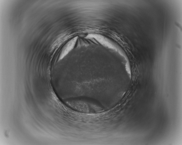 X0000100350002200806201552