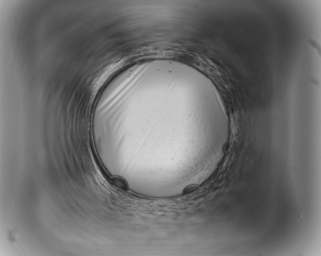 X0000100350003200806201552