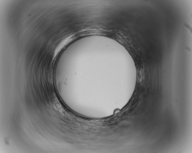 X0000100350004200806201552