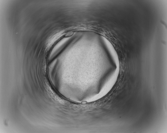 X0000100350005200806201552