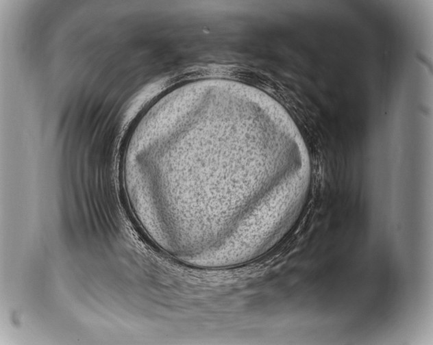 X0000100350006200806201552