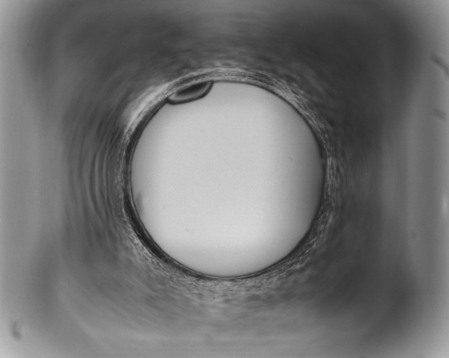 X0000100350007200806201552