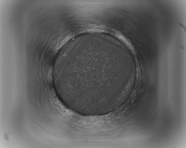 X0000100350009200806201552