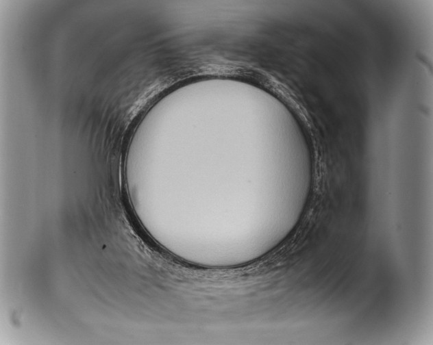 X0000100350011200806201552
