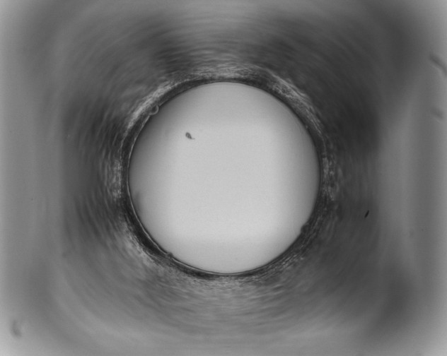 X0000100350012200806201552