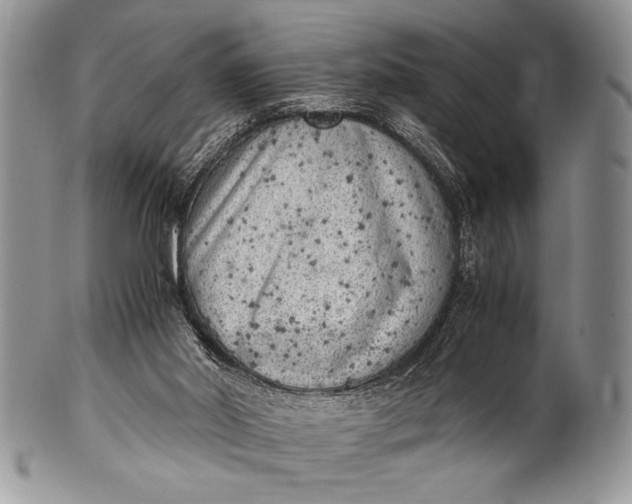 X0000100350014200806201552