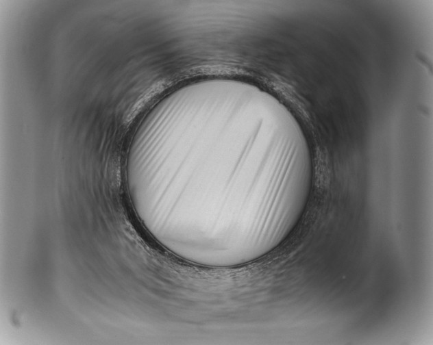 X0000100350015200806201552