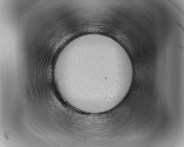 X0000100350016200806201552
