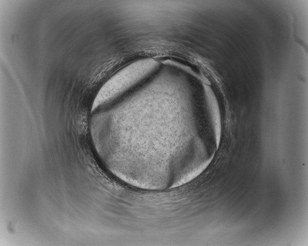 X0000100350017200806201552
