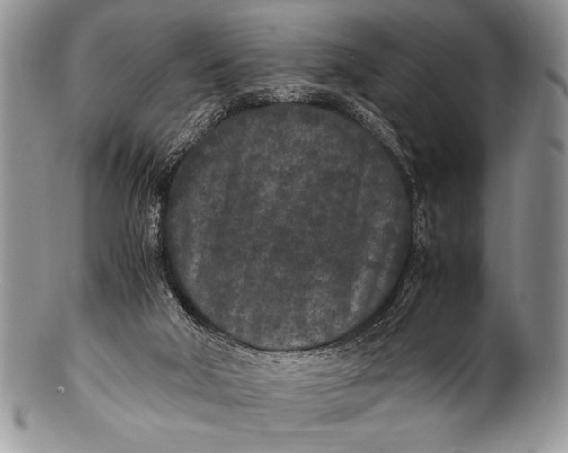 X0000100350018200806201551