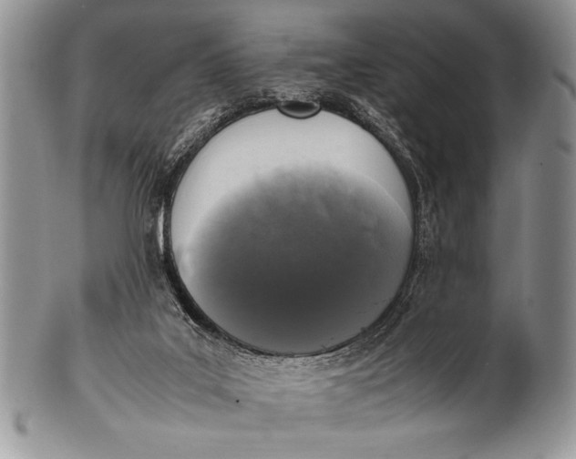 X0000100350019200806201551