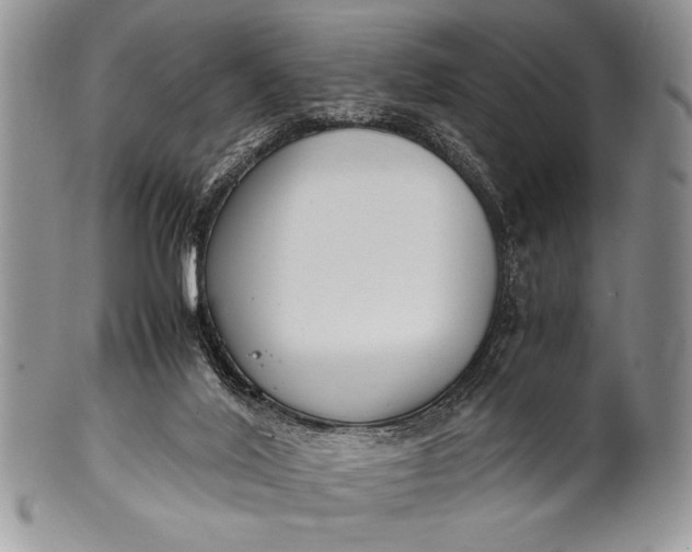 X0000100350020200806201551