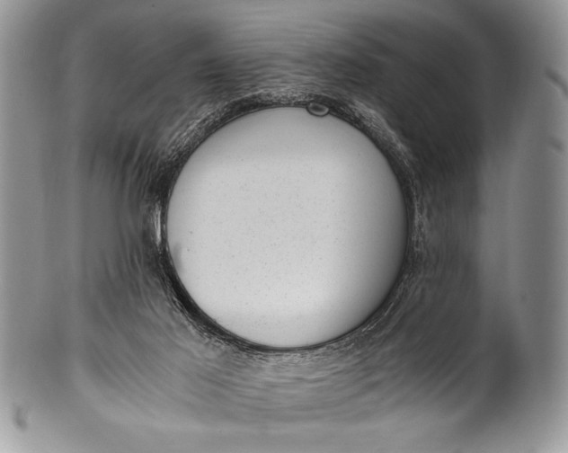 X0000100350021200806201551