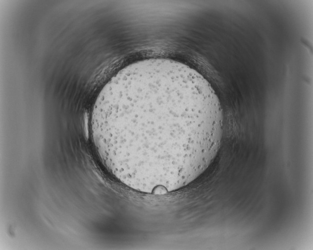 X0000100350022200806201551