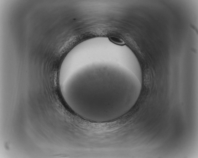 X0000100350023200806201551