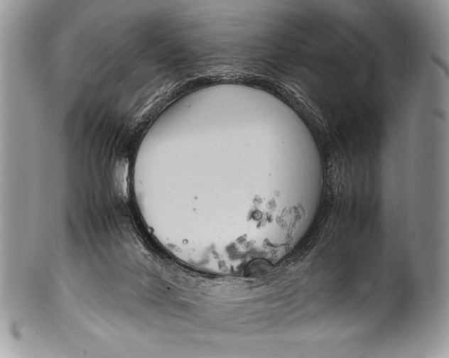 X0000100350024200806201551