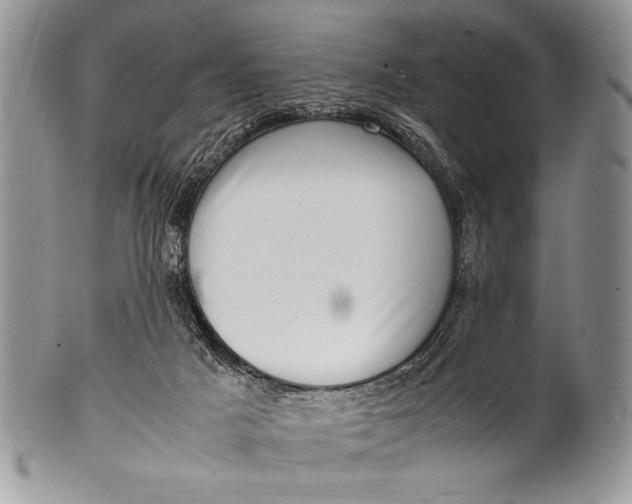 X0000100350025200806201551